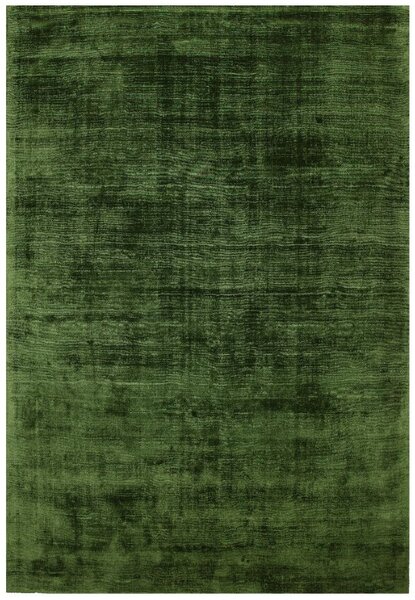 Zelený koberec Ife Green Rozměry: 200x290 cm