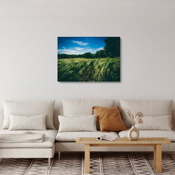 Skleněný obraz louky a lesa (70x50 cm)