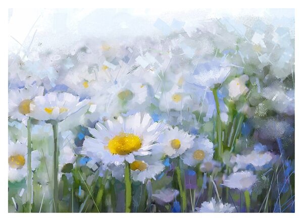 Skleněný obraz - V kopretinách (70x50 cm)