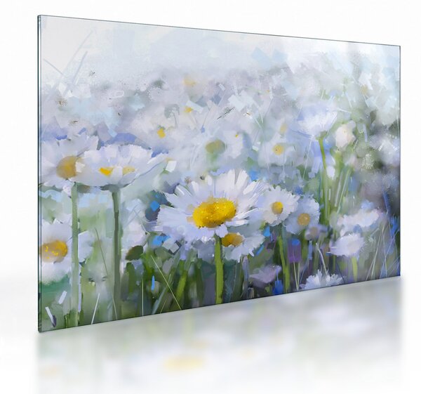 Skleněný obraz - V kopretinách (70x50 cm)