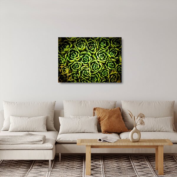 Skleněný obraz netřesků (70x50 cm)
