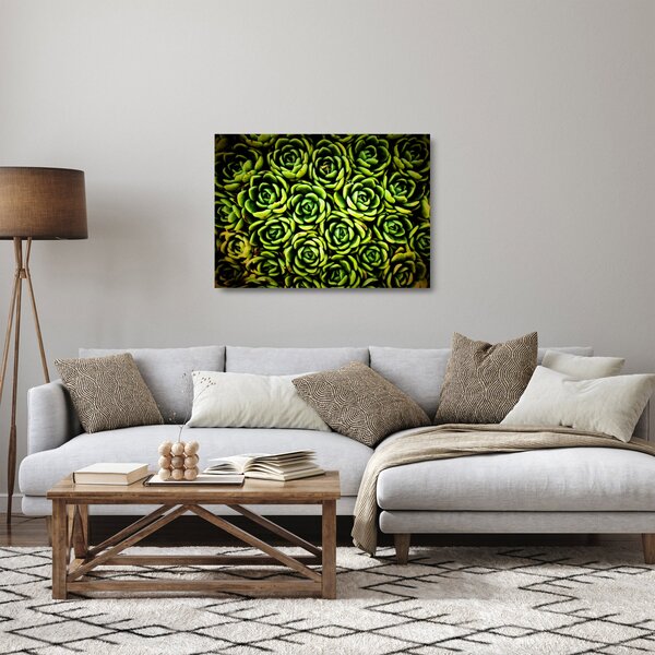Skleněný obraz netřesků (70x50 cm)