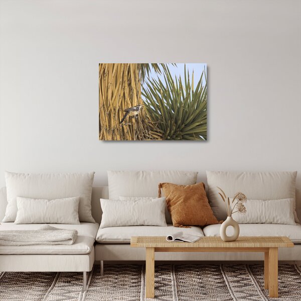 Skleněný obraz - Střízlík (70x50 cm)