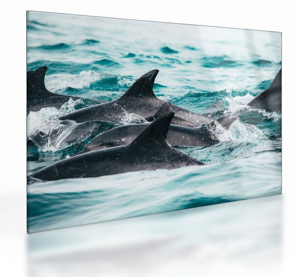 Skleněný obraz - Delfíni v oceáně (70x50 cm)