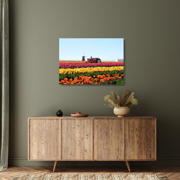 Skleněný obraz tulipánové farmy (70x50 cm)