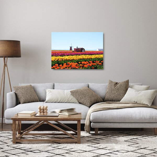 Skleněný obraz tulipánové farmy (70x50 cm)