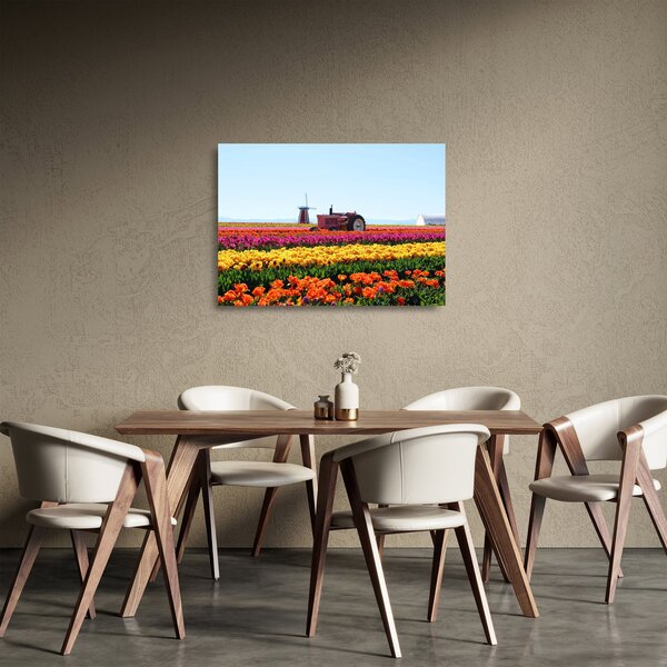 Skleněný obraz tulipánové farmy (70x50 cm)