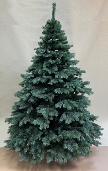 Borovice Aurora široká 3D- 170cm