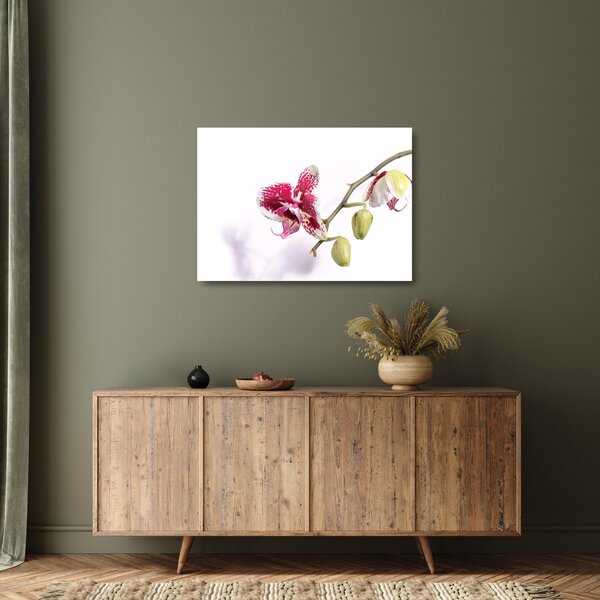 Skleněný obraz květu orchideje (70x50 cm)