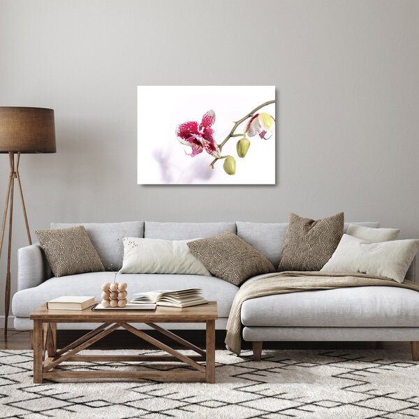 Skleněný obraz květu orchideje (70x50 cm)
