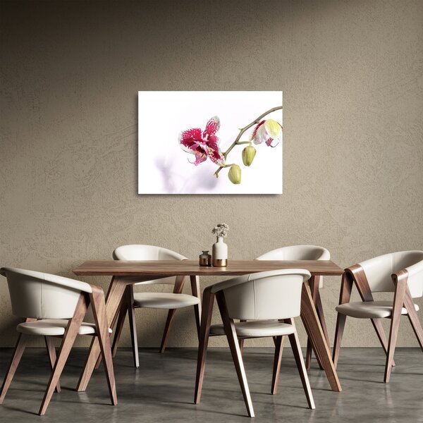 Skleněný obraz květu orchideje (70x50 cm)