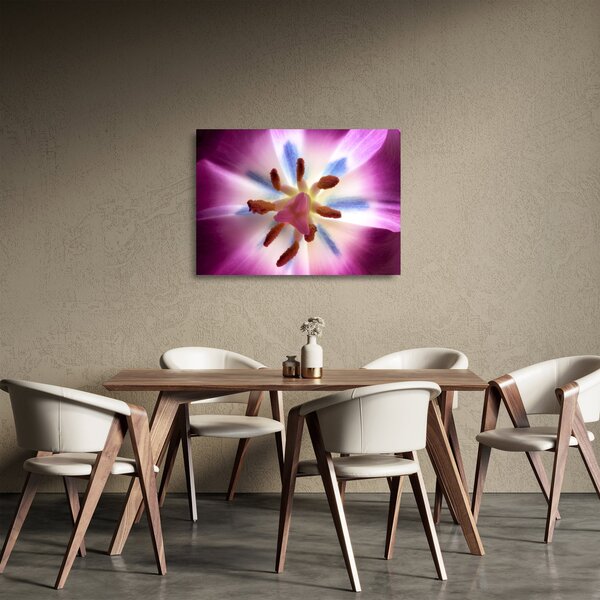 Skleněný obraz - Květ tulipánu v detailu (70x50 cm)