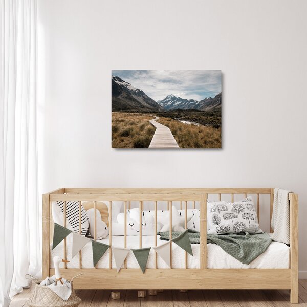 Skleněný obraz - Chodník v údolí hory Mt. Cook (70x50 cm)