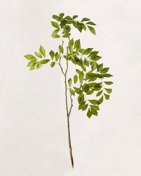 Dekorativní větvička Green Leaf 80 cm