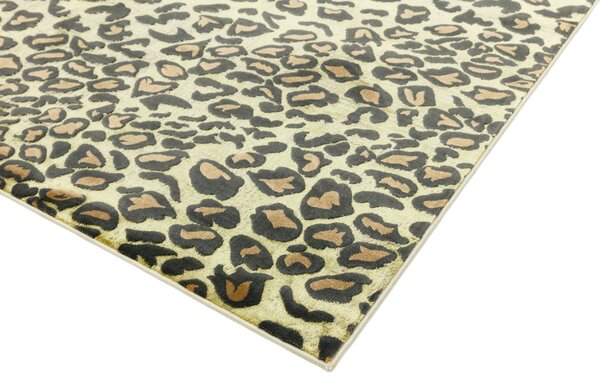 Barevný koberec Ston Leopard Rozměry: 120x170 cm