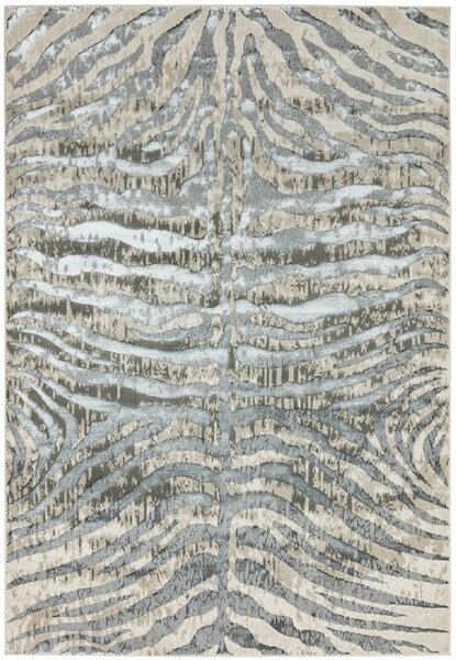 Šedý koberec Ston Zebra Rozměry: 120x170 cm