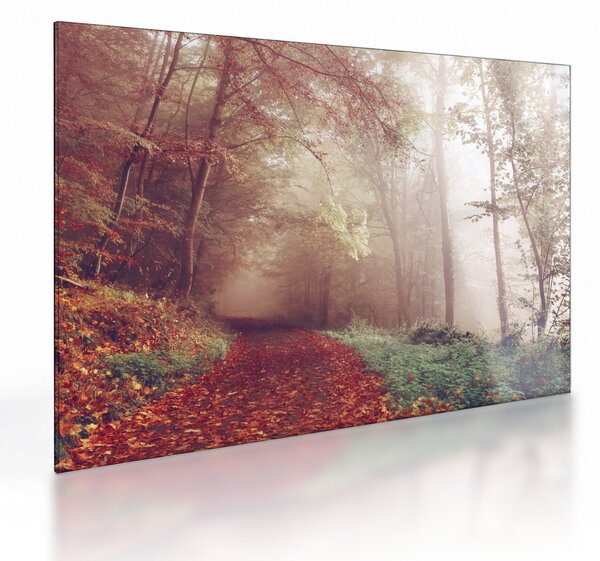 Skleněný obraz - Podzimní procházka lesem (70x50 cm)