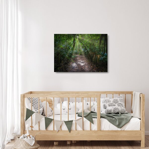 Skleněný obraz - Sluneční paprsky v džungli (70x50 cm)