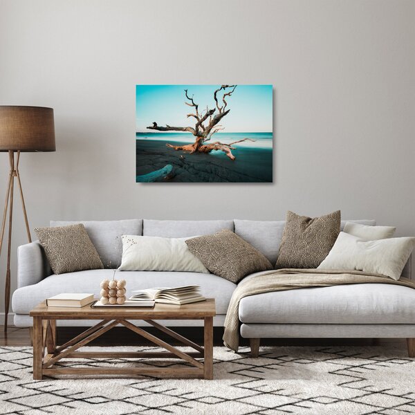 Skleněný obraz - Vyplaveno na pláži (70x50 cm)