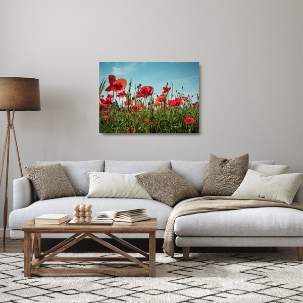 Skleněný obraz - Na poli vlčích máků (70x50 cm)