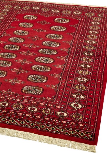 Červený koberec Monyl Red Rozměry: 80x240 cm
