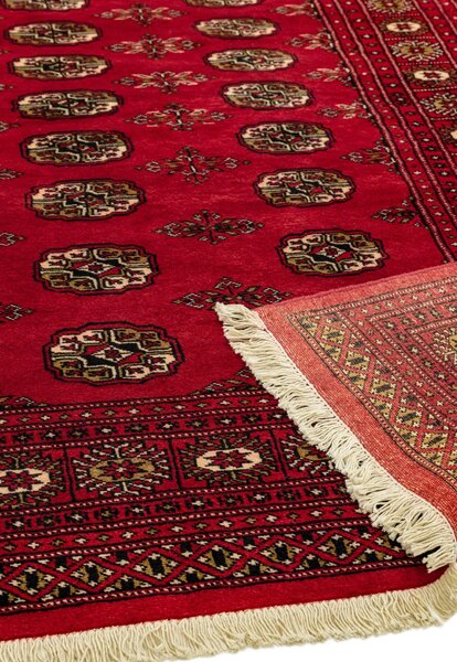 Červený koberec Monyl Red Rozměry: 80x240 cm