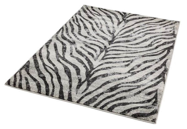 Šedý koberec Dinamo Zebra Grey Rozměry: 120x170 cm