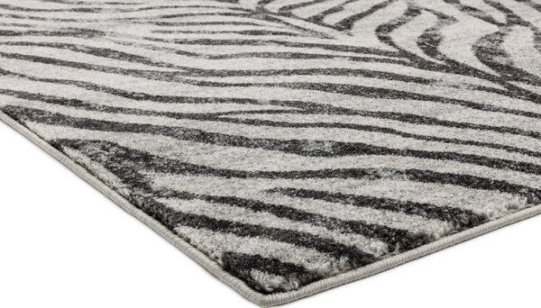 Šedý koberec Dinamo Zebra Grey Rozměry: 120x170 cm
