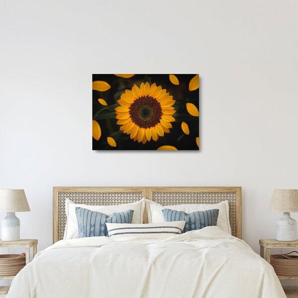 Skleněný obraz - Slunečnice a lístky květů (70x50 cm)