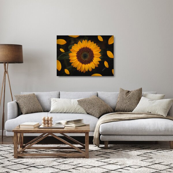 Skleněný obraz - Slunečnice a lístky květů (70x50 cm)