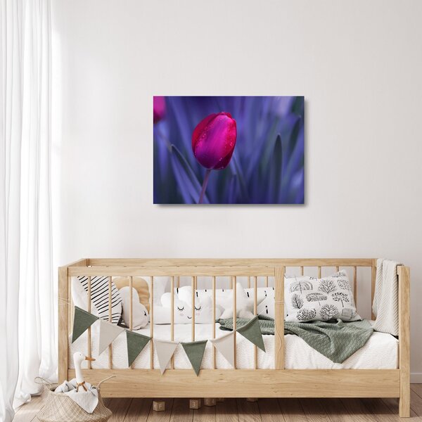 Skleněný obraz poupěte tulipánu (70x50 cm)