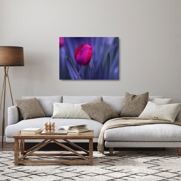 Skleněný obraz poupěte tulipánu (70x50 cm)