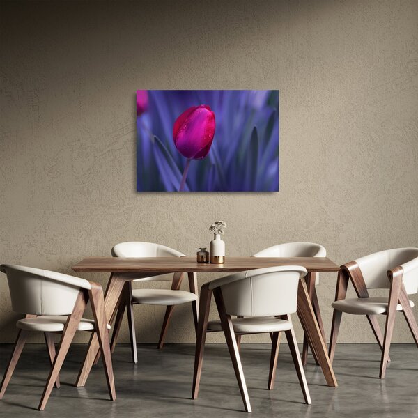 Skleněný obraz poupěte tulipánu (70x50 cm)