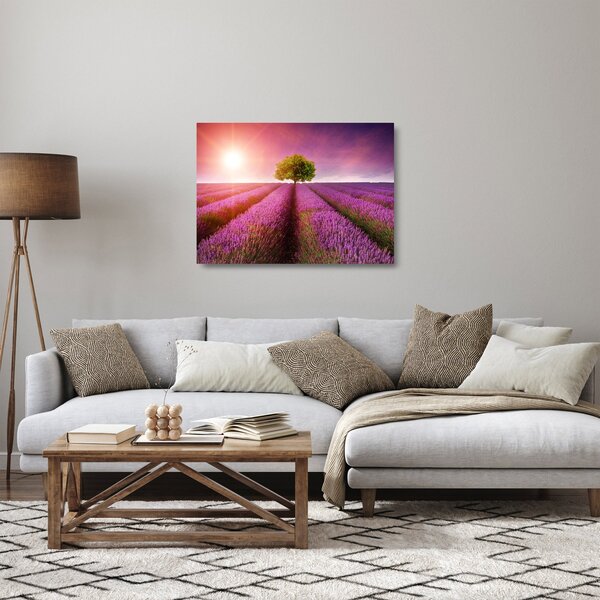 Skleněný obraz pole s levandulemi (70x50 cm)