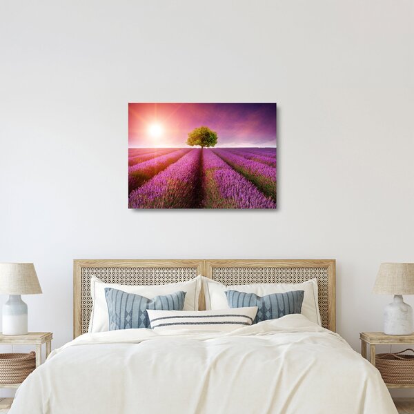 Skleněný obraz pole s levandulemi (70x50 cm)