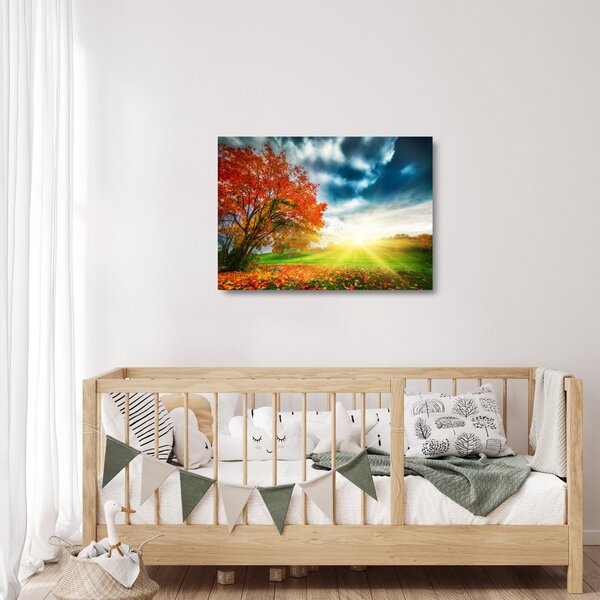 Skleněný obraz krajiny zalité slunečním svitem (70x50 cm)