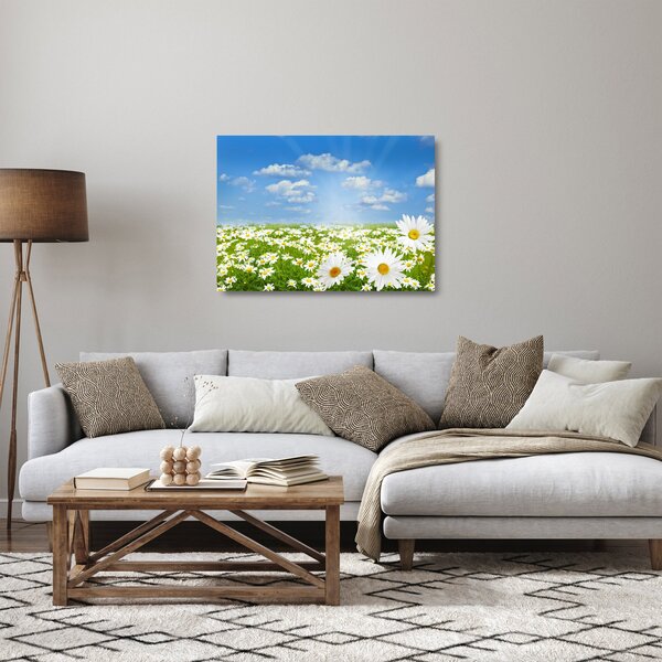 Skleněný obraz rozkvetlé louky s kopretinami (70x50 cm)