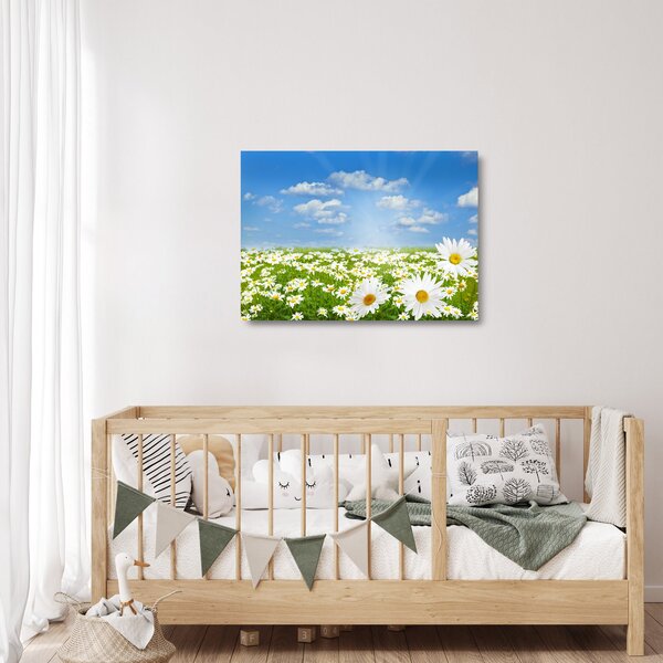 Skleněný obraz rozkvetlé louky s kopretinami (70x50 cm)