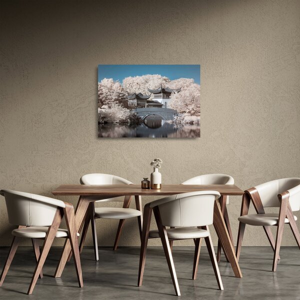 Skleněný obraz - Rozkvetlé stromy v Asii (70x50 cm)