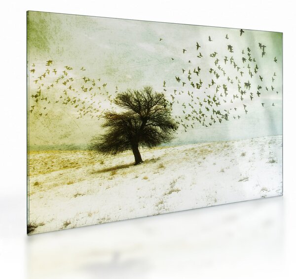 Skleněný obraz - Malované hejno ptáků (70x50 cm)