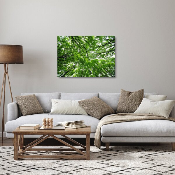Skleněný obraz - Pohled do korun stromů (70x50 cm)