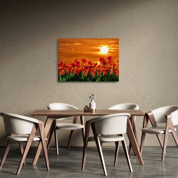 Skleněný obraz rozkvetlého lánu s tulipány (70x50 cm)