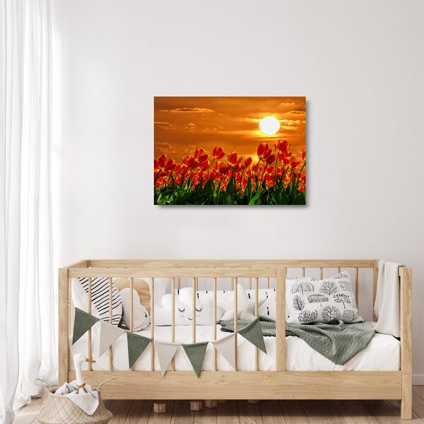 Skleněný obraz rozkvetlého lánu s tulipány (70x50 cm)