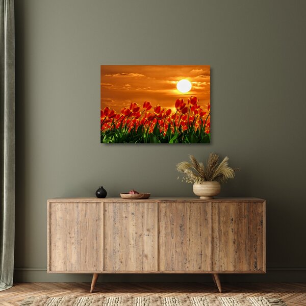 Skleněný obraz rozkvetlého lánu s tulipány (70x50 cm)
