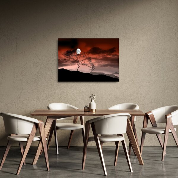 Skleněný obraz - Měsíc osvětlující noc (70x50 cm)