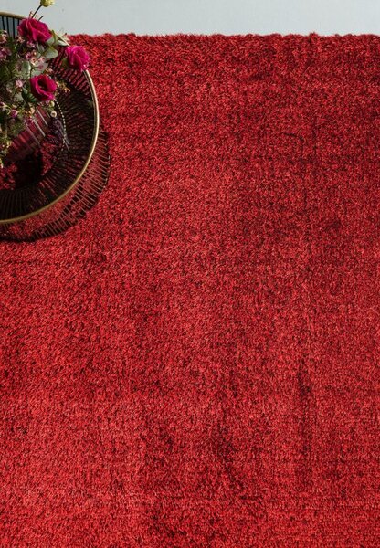 Červený koberec Trebbia Red Rozměry: 80x150 cm