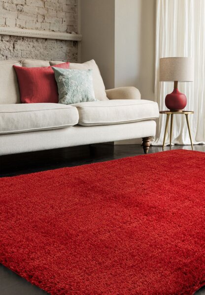Červený koberec Trebbia Red Rozměry: 80x150 cm