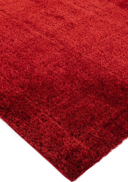 Červený koberec Trebbia Red Rozměry: 80x150 cm