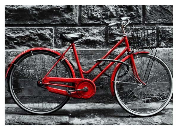 Skleněný obraz - Historický bicykl (70x50 cm)