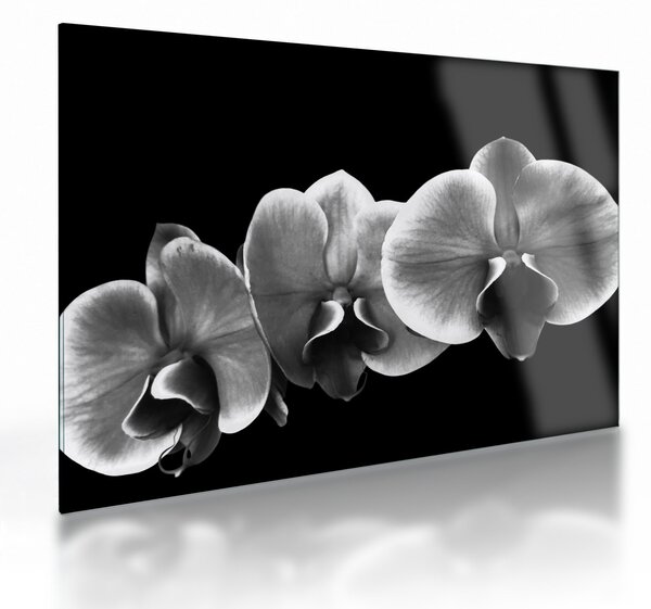 Skleněný obraz květu orchideje (70x50 cm)
